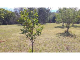 VENTA DE CAMPO CON DOS VIVIENDAS - VIV0213