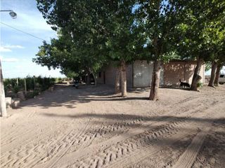 Foto 14 de VENTA DE FINCA 61 HAS UBICADA SOBRE RUTA NACIONAL N°7, SANTA ROSA-MZA.