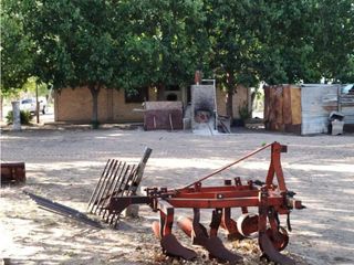 Foto 11 de VENTA DE FINCA 61 HAS UBICADA SOBRE RUTA NACIONAL N°7, SANTA ROSA-MZA.