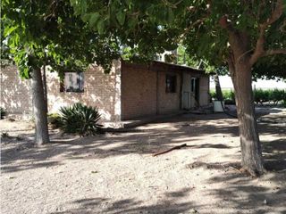 Foto 8 de VENTA DE FINCA 61 HAS UBICADA SOBRE RUTA NACIONAL N°7, SANTA ROSA-MZA.