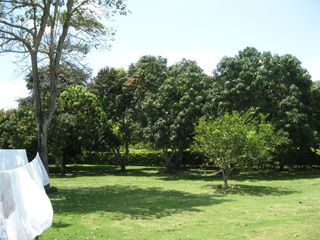 Foto 14 de casa campestre en venta en cobos. Cod V16433