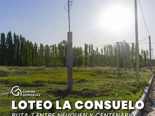 Venta lote - Loteo La Consuelo - Centenario Neuquén