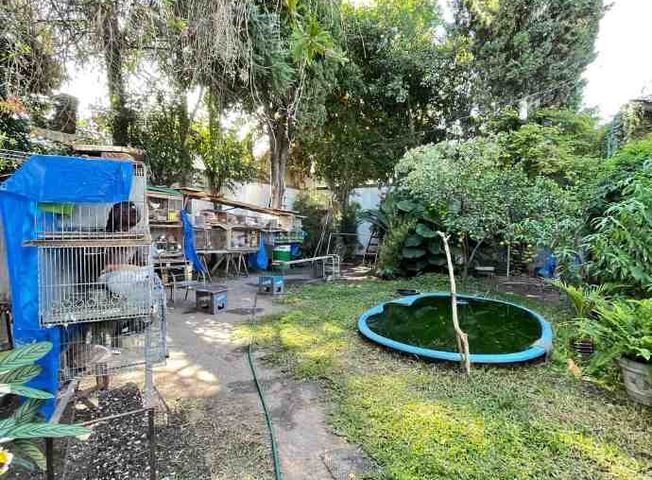 place photo 24