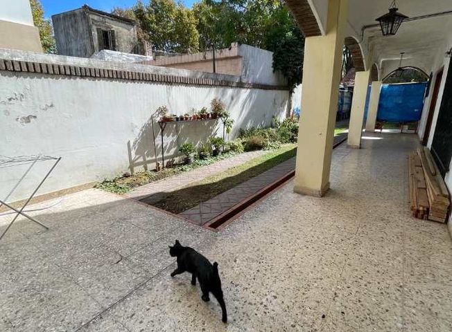 place photo 21