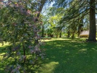 Terreno en venta - 15.000 mts2 - Villa Elisa