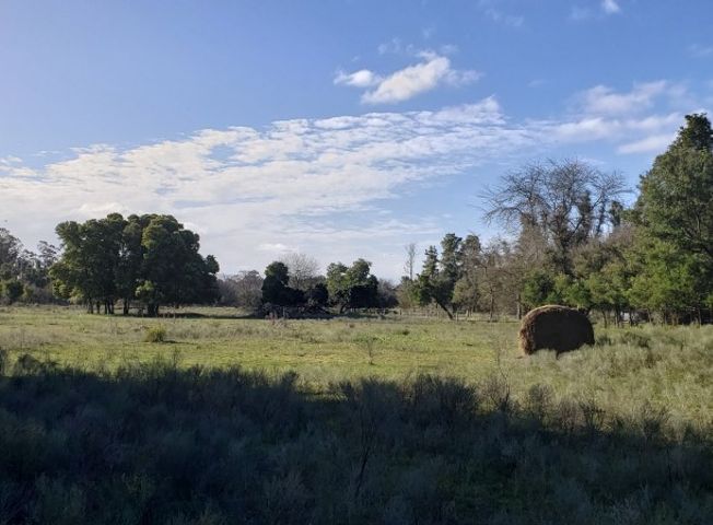 place photo 18