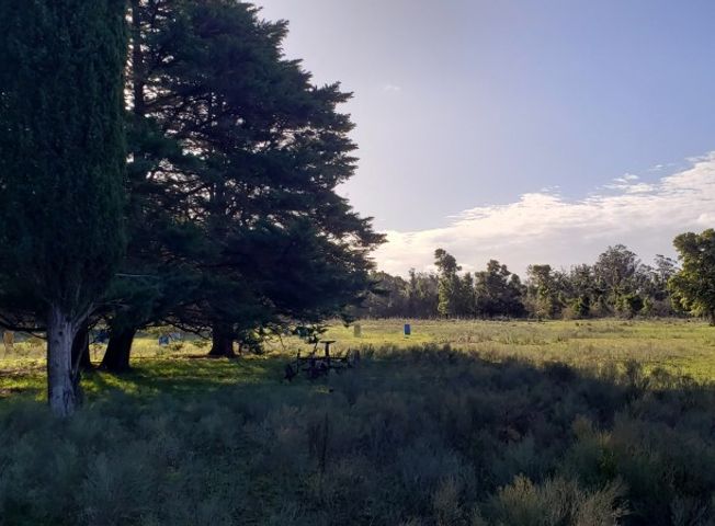 place photo 15