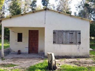 Foto 5 de VENDO CASA QUINTA PUNTA INDIO