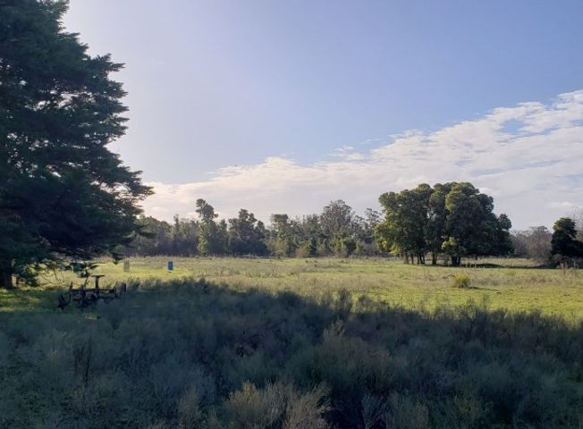 place photo 19