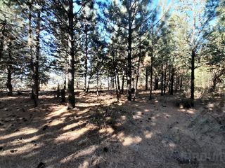 Lote en Dos Valles 1.100 m2, Bariloche oportunidad 38.000 usd