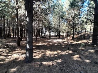 Lote en Dos Valles 1.100 m2, Bariloche oportunidad 38.000 usd