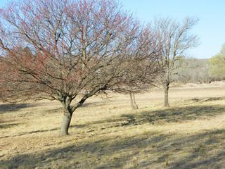 Foto 9 de LOTEO “VILLA SAN BENITO” - LA CUMBRE. LOTEO UNICO Y EXCLUSIVO. NATURALEZA. GOLF. EXCLUSIVIDAD. LOTES CON ESCRITURA. ALUMBRADO. TODOS LOS SERVICIOS. FI
