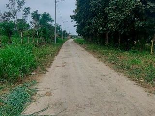 Foto 5 de TERRENO DE VENTA  DETRAS DE LA URB. SAN EDUARDO, MACHALA
