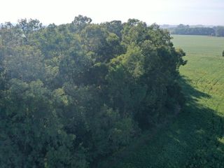 Campo de 55 hectáreas en Saladillo