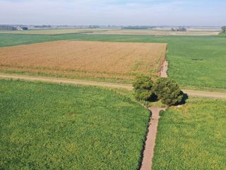 Campo de 55 hectáreas en Saladillo