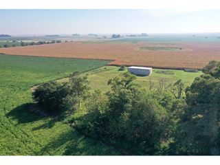 Campo de 55 hectáreas en Saladillo
