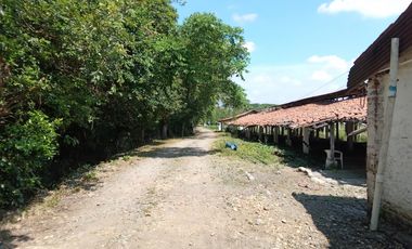 place photo 19