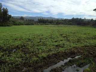 Terreno de venta a 5 minutos del parque nacional cotopaxi, 200 m de frente a la Panamerciana