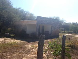 Foto 7 de Campo Ganadero en Rivadavia Banda Norte