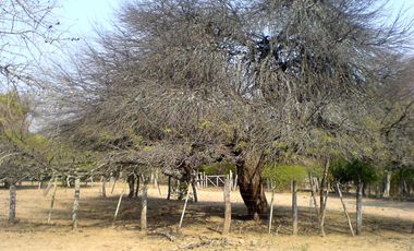 similar_image