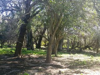 Foto 5 de Campo Ganadero en Rivadavia Banda Norte