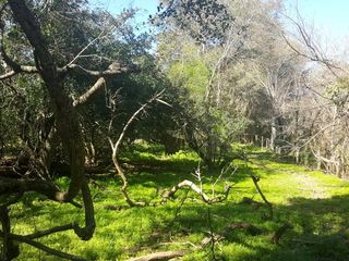 Foto 6 de Campo Ganadero en Rivadavia Banda Norte