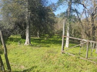 Foto 3 de Campo Ganadero en Rivadavia Banda Norte