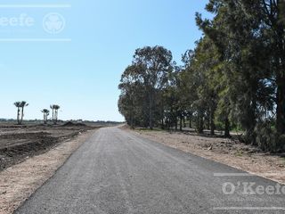 Lote en venta en Puerto Nizuc - Oportunidad de inversión en Guillermo Hudson