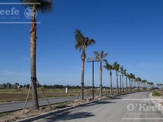 Lote en venta en Puerto Nizuc - Oportunidad de inversión en Guillermo Hudson