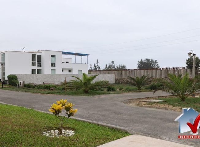 place photo 12