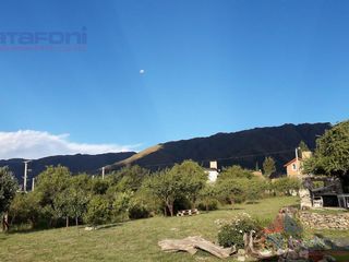 Foto 3 de Casa - Carpinteria