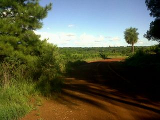 Foto 1 de Vendo Campo en Apostoles Misiones