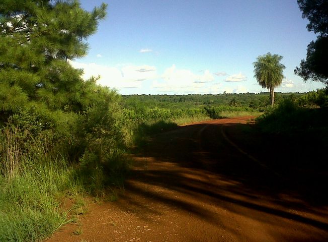 place photo 1