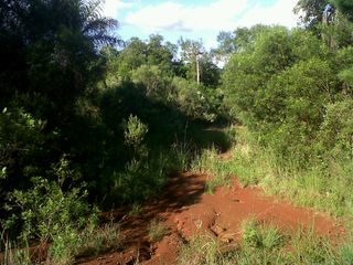 Foto 3 de Vendo Campo en Apostoles Misiones