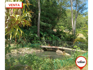 Foto 15 de PARCELA CAMPESTRE VA A SIMACOTA DE 3.470MTS