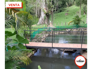 Foto 4 de PARCELA CAMPESTRE VA A SIMACOTA DE 3.470MTS