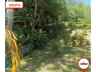Foto 22 de PARCELA CAMPESTRE VA A SIMACOTA DE 3.470MTS