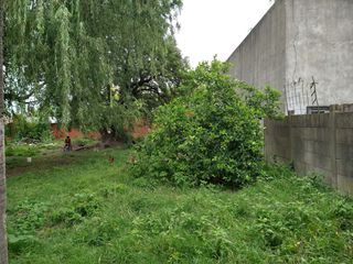 Foto 5 de VENTA DE CASA EN Lobos