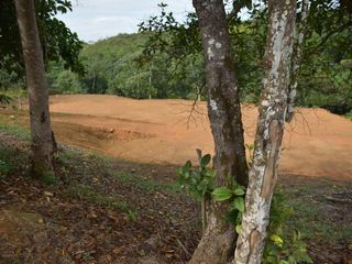 Foto 7 de lote en venta en pance. Cod V8838