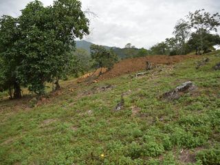 Foto 5 de lote en venta en pance. Cod V8838