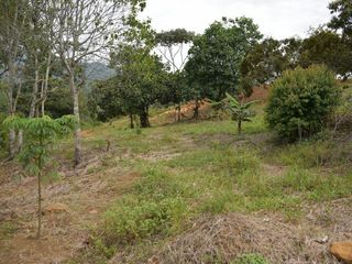Foto 4 de lote en venta en pance. Cod V8838