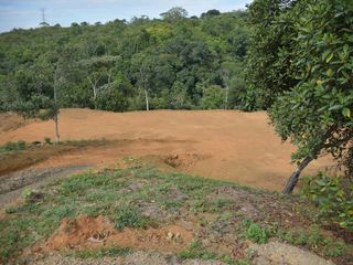 Foto 6 de lote en venta en pance. Cod V8838