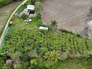 FINCA en VENTA en Candelaria Corregimiento El Cabuyal