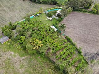 FINCA en VENTA en Candelaria Corregimiento El Cabuyal