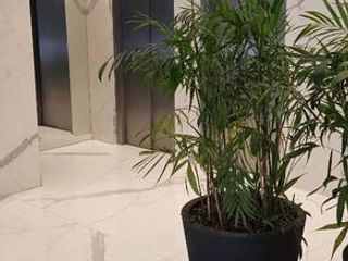 Divino 2 ambientes Blacon Aterrazado con Cochera - Amenities - Seguridad 24hs - Cochera de Cortesía