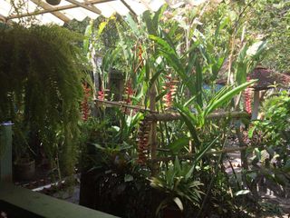 Foto 17 de VENDO CASA ESQUINERA  CAMPESTRE SAN JOSÉ GUADUAS CUNDINAMARCA COLOMBIA