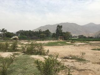 Terreno para casa de campo, en el camino Pachacamac - Cieneguilla