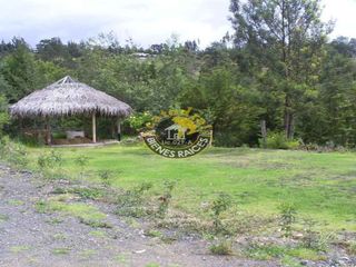 Quinta Hacienda de venta en Pampa Vintimilla  – código:12039