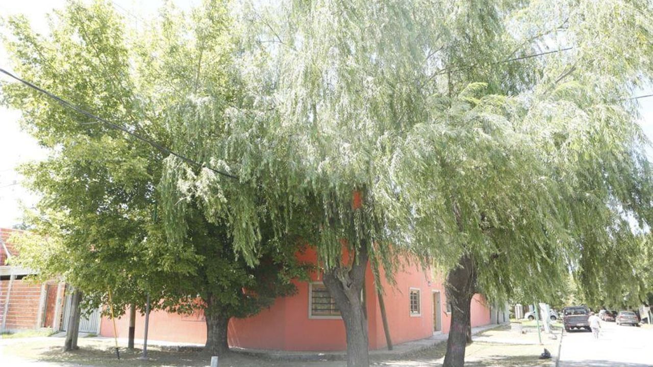 place photo 48