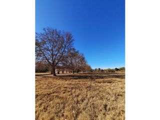 Foto 5 de PRE-VENTA-LOTES COLONIA CAROYA-550m2